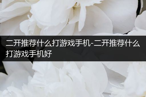 二开推荐什么打游戏手机-二开推荐什么打游戏手机好
