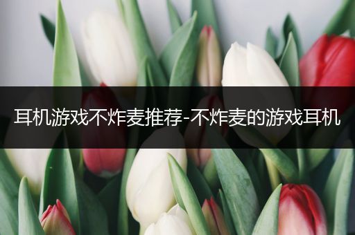 耳机游戏不炸麦推荐-不炸麦的游戏耳机