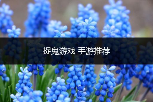 捉鬼游戏 手游推荐