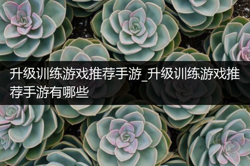 升级训练游戏推荐手游_升级训练游戏推荐手游有哪些