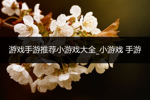 游戏手游推荐小游戏大全_小游戏 手游