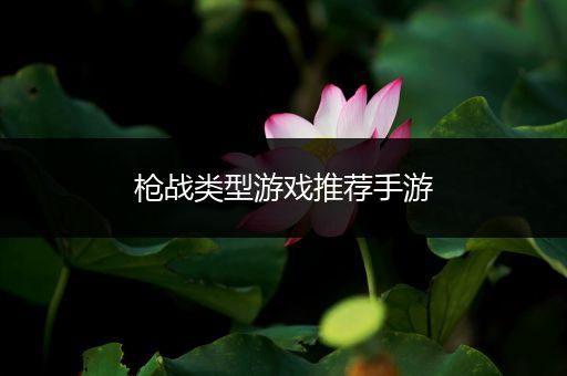枪战类型游戏推荐手游