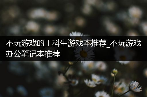 不玩游戏的工科生游戏本推荐_不玩游戏办公笔记本推荐