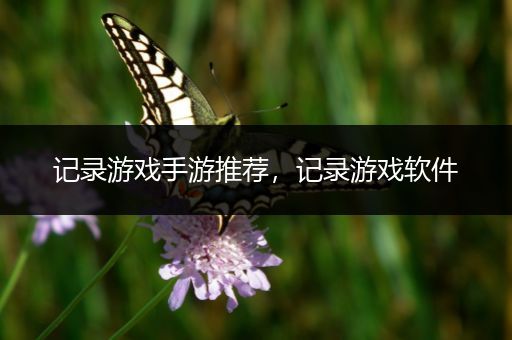 记录游戏手游推荐，记录游戏软件