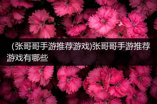 （张哥哥手游推荐游戏)张哥哥手游推荐游戏有哪些