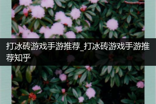 打冰砖游戏手游推荐_打冰砖游戏手游推荐知乎