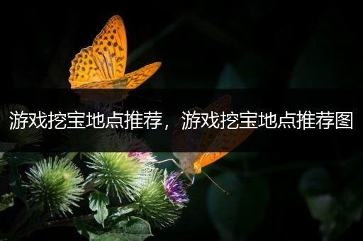 游戏挖宝地点推荐，游戏挖宝地点推荐图