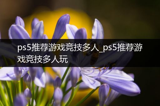 ps5推荐游戏竞技多人_ps5推荐游戏竞技多人玩