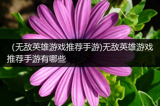 （无敌英雄游戏推荐手游)无敌英雄游戏推荐手游有哪些