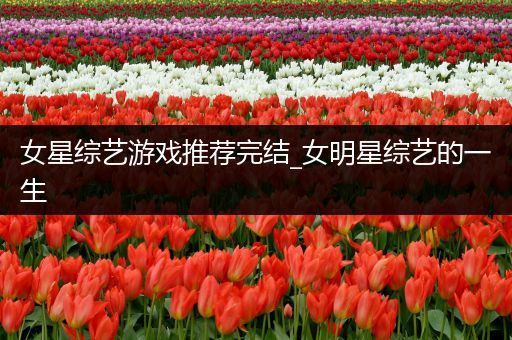 女星综艺游戏推荐完结_女明星综艺的一生
