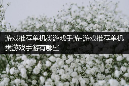 游戏推荐单机类游戏手游-游戏推荐单机类游戏手游有哪些