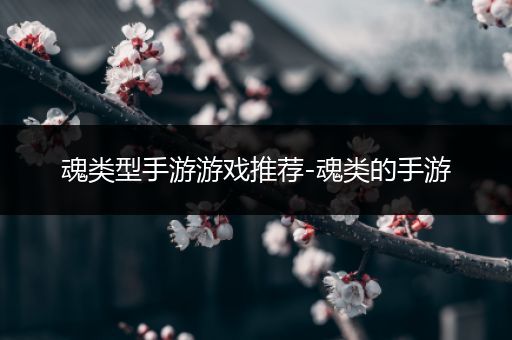 魂类型手游游戏推荐-魂类的手游