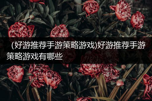 （好游推荐手游策略游戏)好游推荐手游策略游戏有哪些