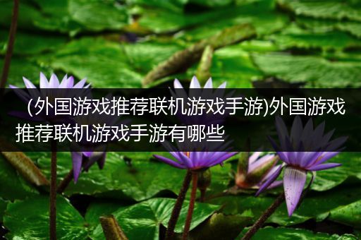 （外国游戏推荐联机游戏手游)外国游戏推荐联机游戏手游有哪些