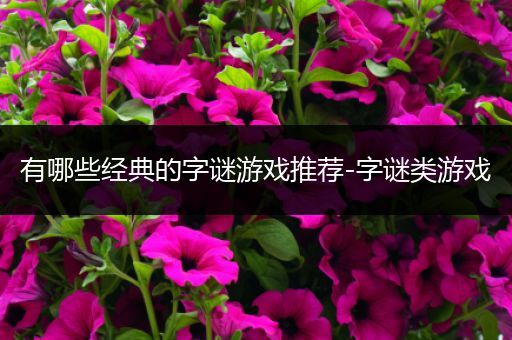 有哪些经典的字谜游戏推荐-字谜类游戏