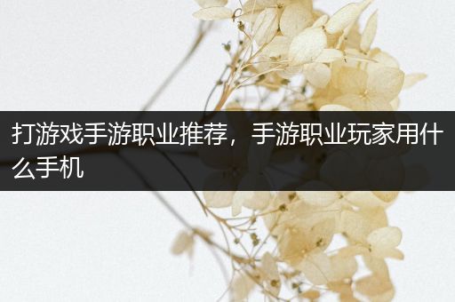 打游戏手游职业推荐，手游职业玩家用什么手机