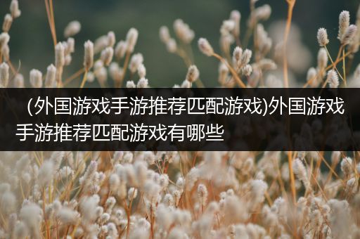 （外国游戏手游推荐匹配游戏)外国游戏手游推荐匹配游戏有哪些