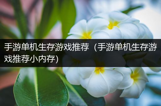 手游单机生存游戏推荐（手游单机生存游戏推荐小内存）
