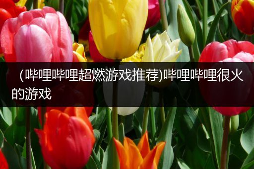 （哔哩哔哩超燃游戏推荐)哔哩哔哩很火的游戏