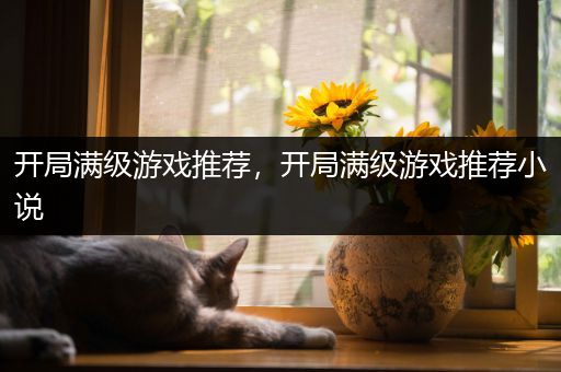 开局满级游戏推荐，开局满级游戏推荐小说