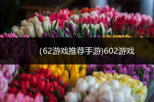 （62游戏推荐手游)602游戏