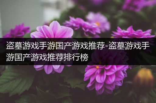 盗墓游戏手游国产游戏推荐-盗墓游戏手游国产游戏推荐排行榜
