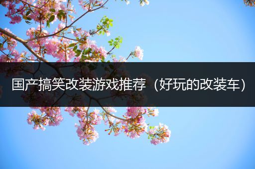 国产搞笑改装游戏推荐（好玩的改装车）