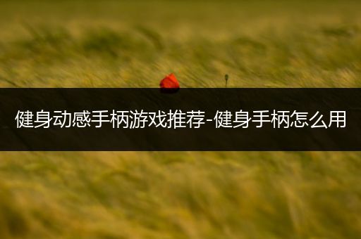 健身动感手柄游戏推荐-健身手柄怎么用