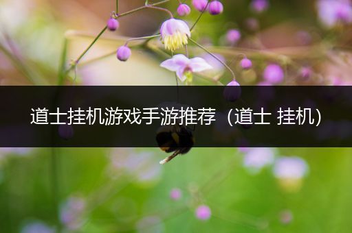 道士挂机游戏手游推荐（道士 挂机）