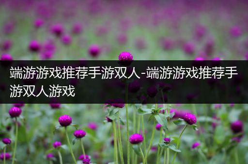 端游游戏推荐手游双人-端游游戏推荐手游双人游戏