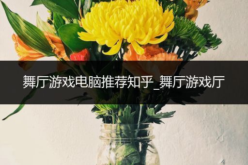 舞厅游戏电脑推荐知乎_舞厅游戏厅