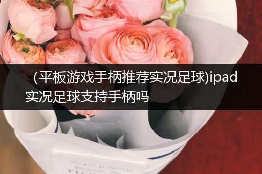 （平板游戏手柄推荐实况足球)ipad实况足球支持手柄吗