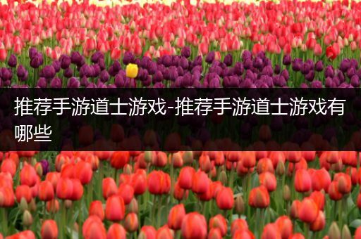 推荐手游道士游戏-推荐手游道士游戏有哪些