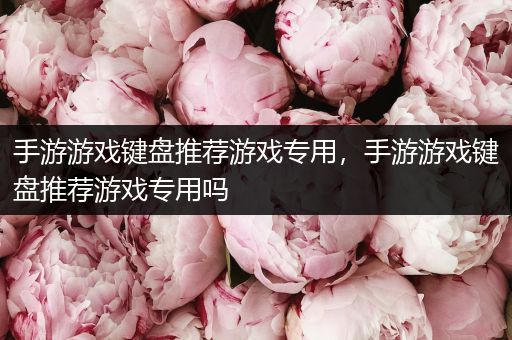 手游游戏键盘推荐游戏专用，手游游戏键盘推荐游戏专用吗