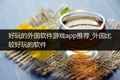 好玩的外国软件游戏app推荐_外国比较好玩的软件
