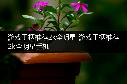 游戏手柄推荐2k全明星_游戏手柄推荐2k全明星手机