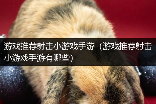 游戏推荐射击小游戏手游（游戏推荐射击小游戏手游有哪些）