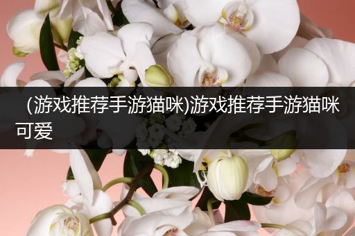 （游戏推荐手游猫咪)游戏推荐手游猫咪可爱