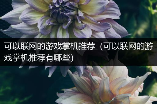 可以联网的游戏掌机推荐（可以联网的游戏掌机推荐有哪些）