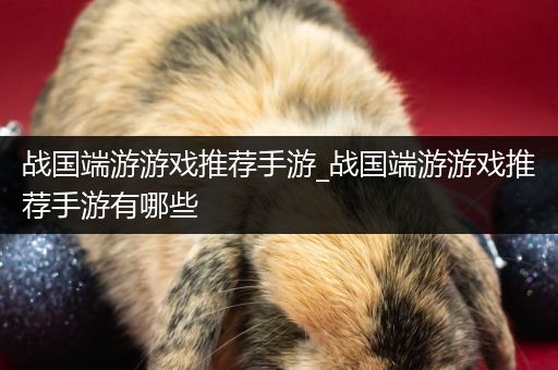 战国端游游戏推荐手游_战国端游游戏推荐手游有哪些