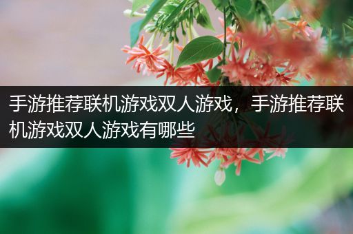 手游推荐联机游戏双人游戏，手游推荐联机游戏双人游戏有哪些