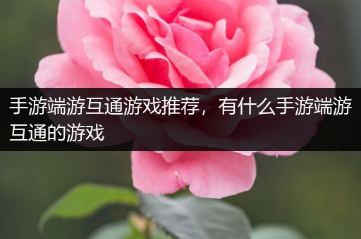 手游端游互通游戏推荐，有什么手游端游互通的游戏