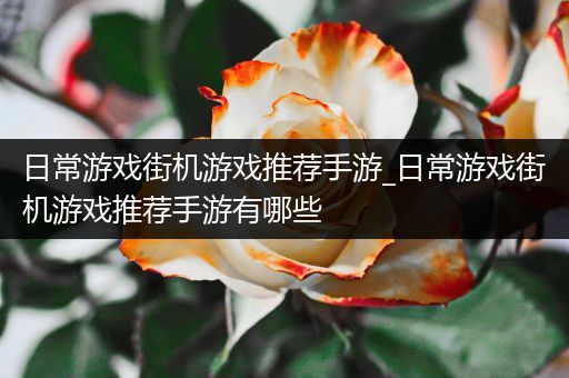 日常游戏街机游戏推荐手游_日常游戏街机游戏推荐手游有哪些