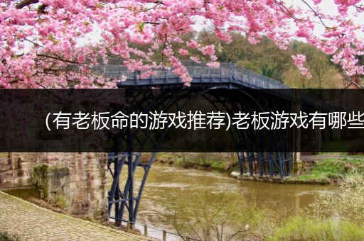 （有老板命的游戏推荐)老板游戏有哪些