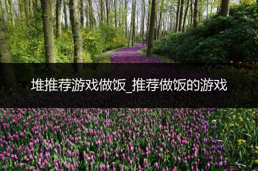 堆推荐游戏做饭_推荐做饭的游戏