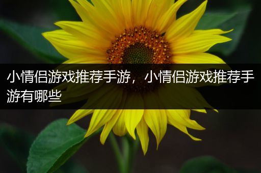 小情侣游戏推荐手游，小情侣游戏推荐手游有哪些