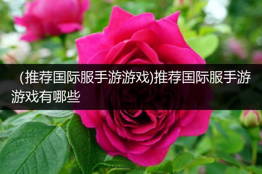 （推荐国际服手游游戏)推荐国际服手游游戏有哪些