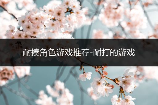 耐揍角色游戏推荐-耐打的游戏