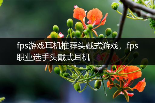 fps游戏耳机推荐头戴式游戏，fps职业选手头戴式耳机