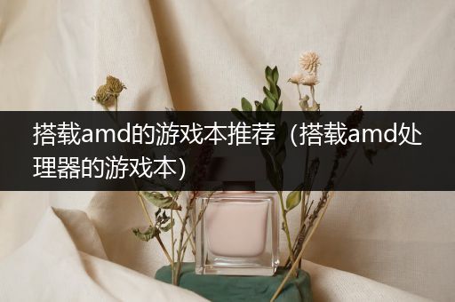 搭载amd的游戏本推荐（搭载amd处理器的游戏本）